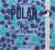 Polar® Frosted Boysenberry Seltzer Cans Perspective: back