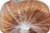 Harris Teeter Naturals® Organic Whole Wheat Bread with Honey Perspective: back