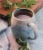 Bigelow® Peppermint Herbal Tea Bags Perspective: back