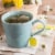 Bigelow® Cozy Chamomile® Caffeine Free Herbal Tea Bags Perspective: back