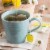 Bigelow® Cozy Chamomile® Caffeine Free Herbal Tea Bags Perspective: back
