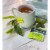 Bigelow® Green Tea with Mint Tea Bags Perspective: back