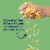 Tillamook Farmstyle Thick Cut Mexican 4 Cheese Shredded Cheese Perspective: back