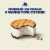 Tillamook Vanilla Bean Ice Cream Sandwiches Perspective: back