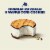 Tillamook Vanilla Bean Ice Cream Sandwiches Perspective: back