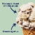Tillamook Mint Chocolate Chip Ice Cream Perspective: back