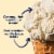 Tillamook Vanilla Bean Ice Cream Perspective: back