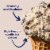 Tillamook Cookies and Cream Ice Cream Perspective: back