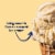 Tillamook French Vanilla Ice Cream Perspective: back