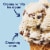Tillamook Chocolate Chip Ice Cream Tub Perspective: back