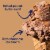 Tillamook Chocolate Peanut Butter Ice Cream Perspective: back