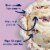 Tillamook Marionberry Pie Ice Cream Perspective: back
