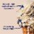 Tillamook Malted Moo Shake Ice Cream Tub Perspective: back