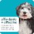 SERGEANT'S GUARDIAN Pro Flea & Tick Collar for Dogs Perspective: back