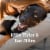 PETARMOR Ear Mite & Tick Treatment for Dogs, 3 oz Perspective: back