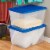 Sterilite Storage Box - Blue Morpho Perspective: back