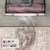 Hoover® WindTunnel™ Tangle Guard™ Vacuum Cleaner Perspective: back