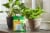 Miracle-Gro Indoor Plant Food Spikes Perspective: back