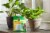 Miracle-Gro Indoor Plant Food Spikes Perspective: back