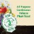 Miracle-Gro® Shake 'n Feed All-Purpose Dry Plant Food Perspective: back