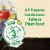 Miracle-Gro Shake 'n Feed 8 Lb. All Purpose Plant Food 3002010 Perspective: back