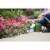Miracle-Gro Bloom Booster 1 Lb. 10-52-10 Flower Dry Plant Food 2360011 Perspective: back