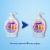 Softsoap Liquid Hand Soap Pump Aquarium Series Perspective: back