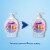 Softsoap Liquid Hand Soap Pump Aquarium Series Perspective: back