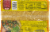 Ziyad Burghol Cracked Wheat Perspective: back