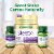 Nature's Bounty Melatonin Drug-Free Sleep Aid Quick Dissolve Tablets, 10 mg Perspective: back