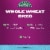 RiceSelect Whole Wheat Orzo Perspective: back