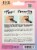 Ardell® Naked Press On Pre-Glued Under Last Extensions Perspective: back