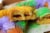 Gambino’s Bakery King Cake Perspective: back