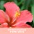 Hawaiian Tropic® Light/Medium Dark Self Tanning Foam Perspective: back