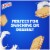 Lance Sandwich Cookies Nekot Vanilla Creme 8 Individually Wrapped Packs Perspective: back