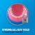 Fixodent Original Secure Denture Adhesive Perspective: back