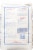Hudson Cream® Short Patent Flour Perspective: back