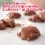 RUSSELL STOVER Christmas Milk Chocolate Pecan Delight Gift Box Perspective: back
