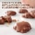 RUSSELL STOVER Pecan Delights Milk Chocolate Gift Box Perspective: back