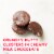 RUSSELL STOVER Valentine's Day Milk Chocolate Covered Nuts Fabric Heart Candy Gift Box Perspective: back