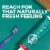 Tom's Fluoride-Free Propolis & Myrrh Natural Toothpaste Perspective: back