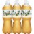 Vernors Zero Sugar Ginger Soda Bottles Perspective: back