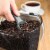 Progressive International Large Coffee ProKeeper Storage Container Perspective: back