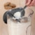 Progressiveᵀᴹ Prepworks® Prokeeper Flour Storage Container Perspective: back