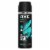 AXE Apollo Sage & Cedarwood Deodorant Body Spray Perspective: back