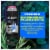 AXE Mint & Rosemary Phoenix Antiperspirant Perspective: back