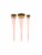 Ecotools® 360 Ultimate Blend Makeup Brush Set Perspective: back