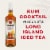 Bacardi Island Tea Premium Rum Cocktail Perspective: back