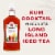 Bacardi Premium Island Tea Rum Ready to Drink Cocktail Single Bottle Perspective: back