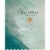 Bv Coastal Estates Merlot California Red Wine Perspective: back